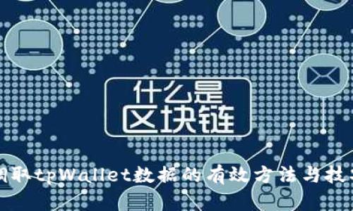调取tpWallet数据的有效方法与技巧