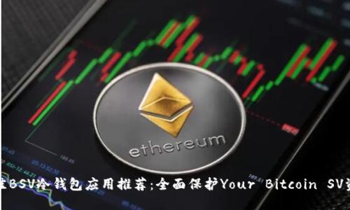 最佳BSV冷钱包应用推荐：全面保护Your Bitcoin SV资产