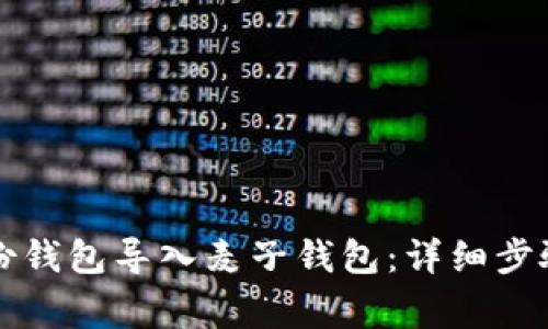 如何将TP身份钱包导入麦子钱包：详细步骤与注意事项