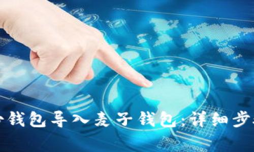 如何将TP身份钱包导入麦子钱包：详细步骤与注意事项