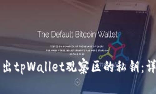 如何导出tpWallet观察区的私钥：详细指南