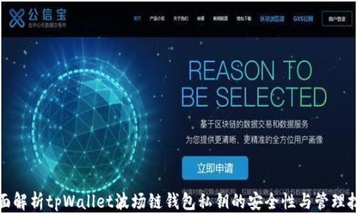 
全面解析tpWallet波场链钱包私钥的安全性与管理技巧