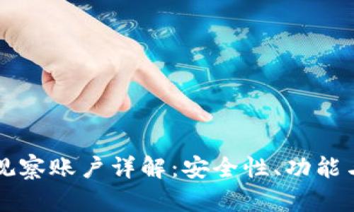 tpWallet观察账户详解：安全性、功能与使用指南