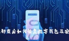 tpWallet卸载后如何恢复数字