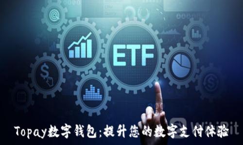   
Topay数字钱包：提升您的数字支付体验