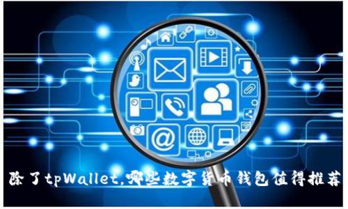 除了tpWallet，哪些数字货币钱包值得推荐
