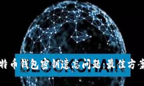 如何解决比特币钱包密钥遗忘问题：最佳方案与注意事项