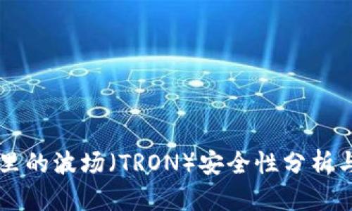 tpWallet里的波场（TRON）安全性分析与用户指南