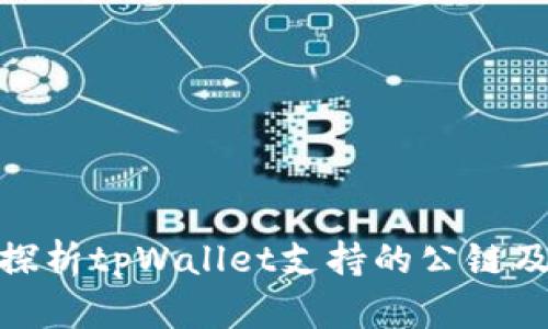 : 深入探析tpWallet支持的公链及其优势