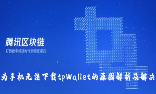 : 华为手机无法下载tpWallet的原因解析及解决方案