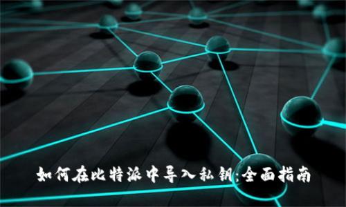 如何在比特派中导入私钥：全面指南