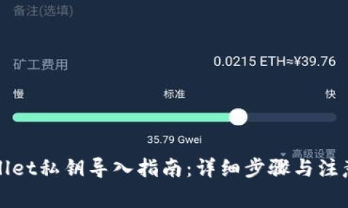 tpWallet私钥导入指南：详细步骤与注意事项