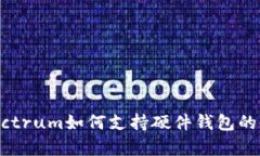 全面解析：Electrum如何支持