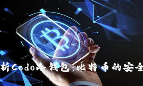 全方位解析Codo冷钱包：比特币的安全存储利器