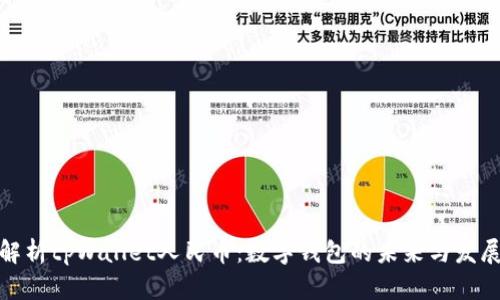 全面解析tpWallet人民币：数字钱包的未来与发展趋势