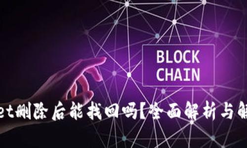 tpWallet删除后能找回吗？全面解析与解决方案