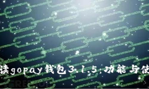 全面解读gopay钱包3.1.5：功能与使用攻略