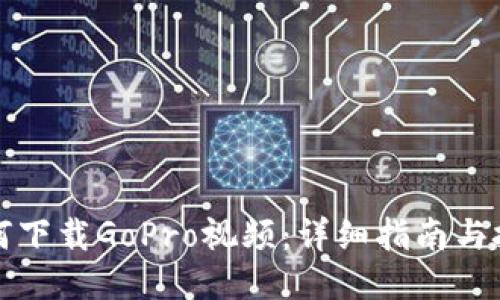 如何下载GoPro视频：详细指南与技巧