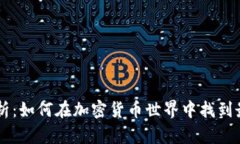 币圈网官网深度解析：如