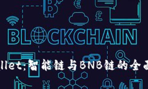 tpWallet：智能链与BNB链的全面解析