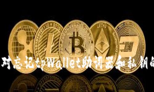 如何应对忘记tpWallet助词器和私钥的情况？