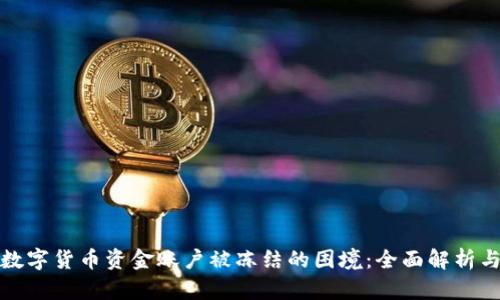 如何应对数字货币资金账户被冻结的困境：全面解析与应对策略